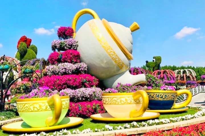 Kettle brews flowers as tea into the cup at the Dubai Miracle Garden.