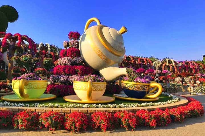 Tea set Brewing flowers at Dubai Miracle Garden.