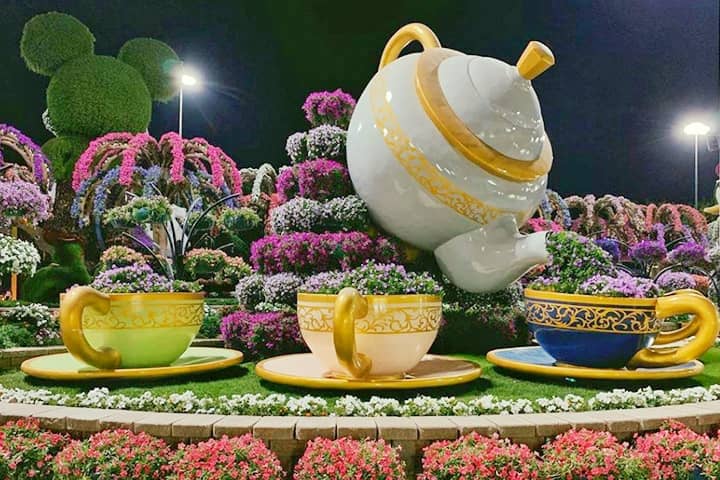 The tea set brewing flowers is ideal for night photography at Dubai Miracle Garden.