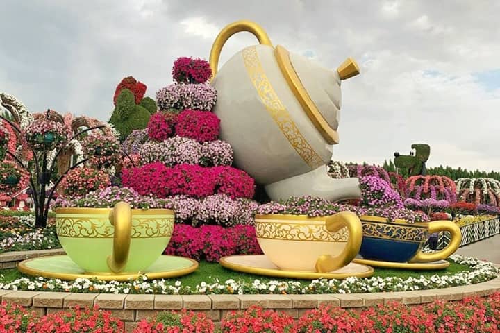 Tea set brewing Petunia flowers at Dubai Miracle Garden.