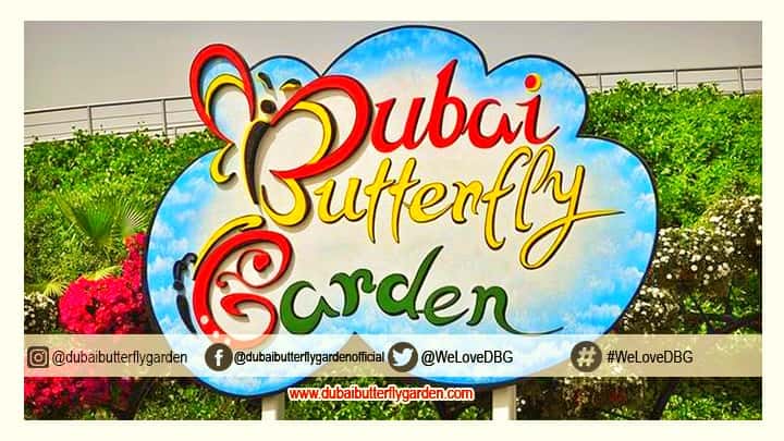 Kids' & Toddlers' ticket price at Dubai Butterfly Garden.