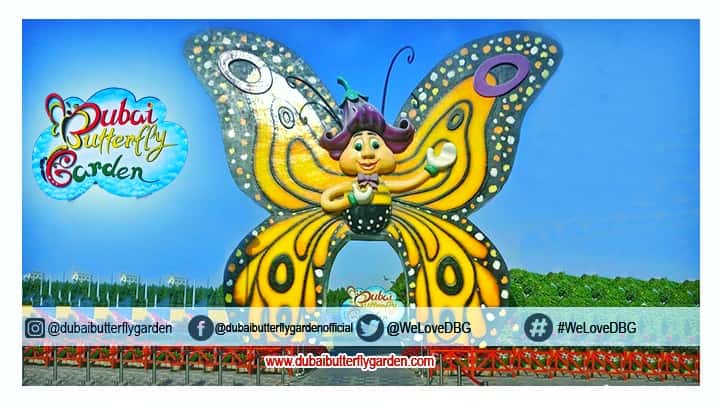 Ticket Price of Dubai Butterfly Garden is just 55 Dirhams.