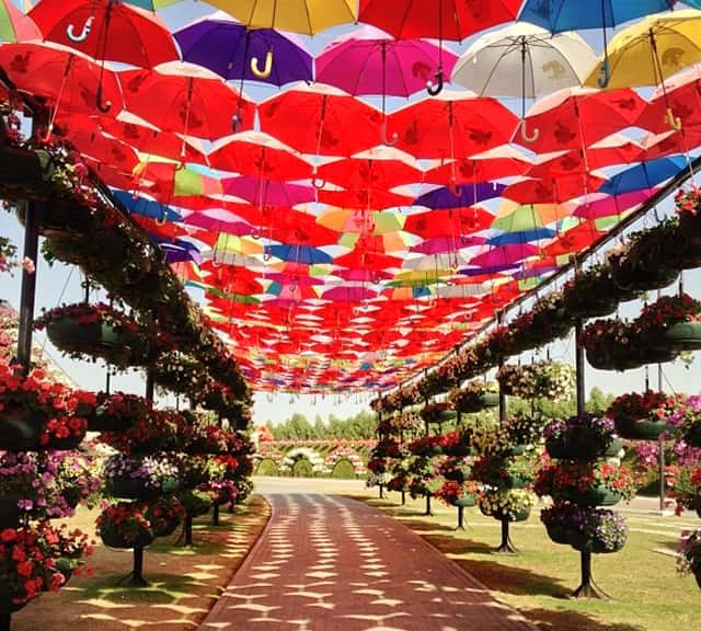 Umbrella passage is decorated with Petunia flowers