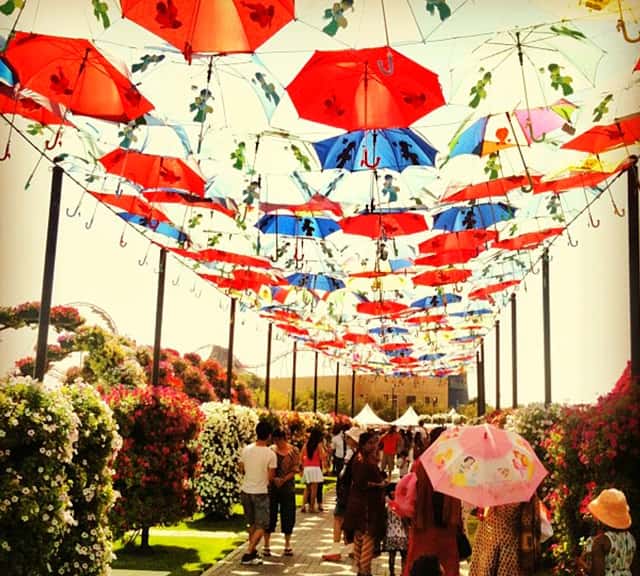 Umbrella Passage at the Dubai Miracle Garden.
