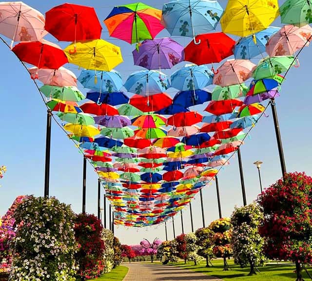 Umbrella Passage height at Dubai Miracle Garden.