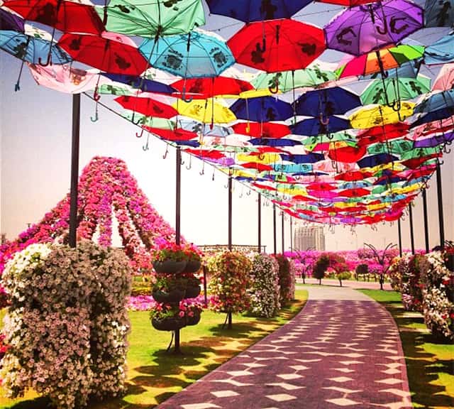 Umbrella Passage history at the Dubai Miracle Garden.