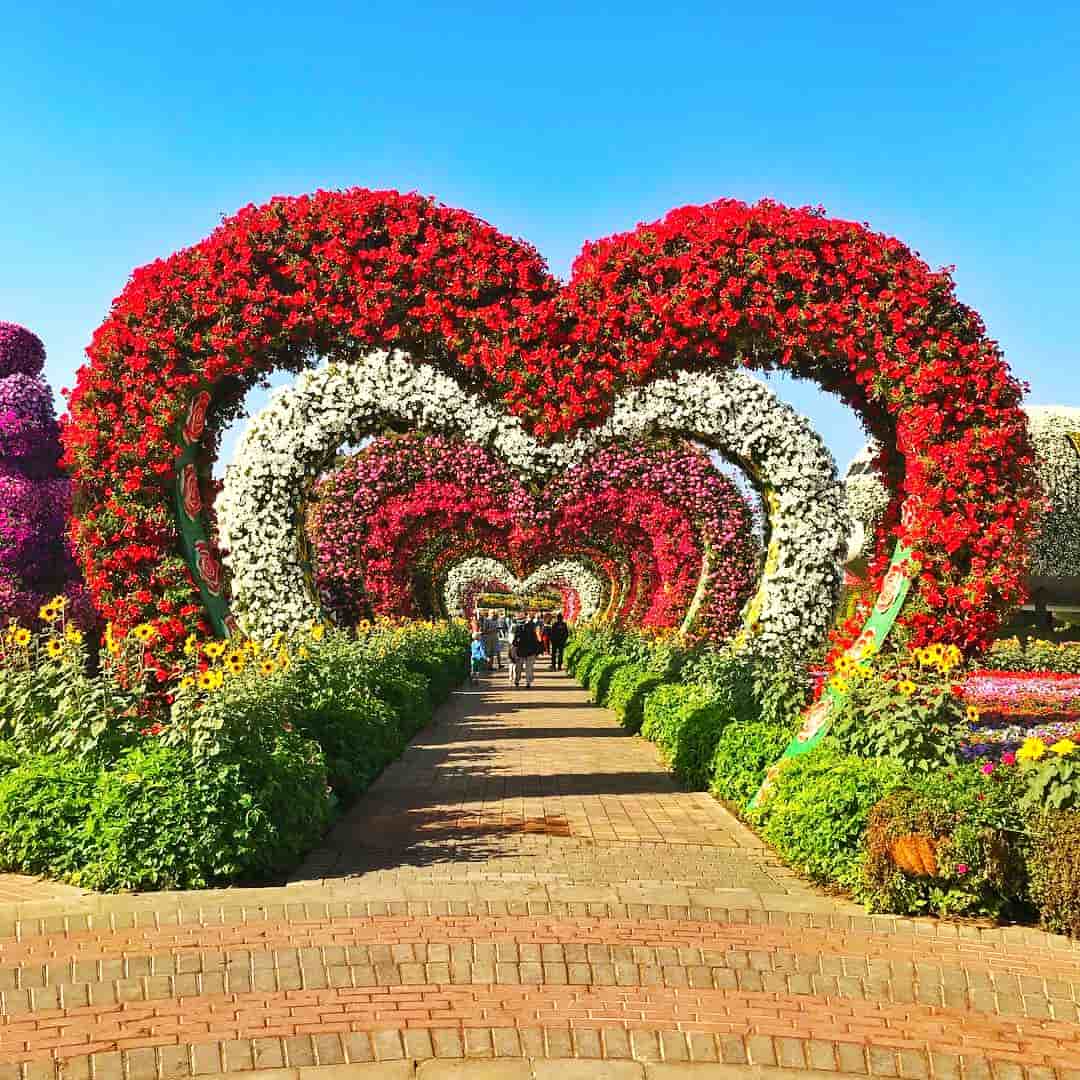 Hearts Passage and the Valentine's Day at the Dubai Miracle Garden.