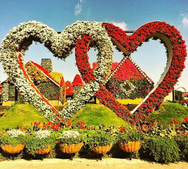 Hearts Sculptures and themes for Valentine's Day at the Dubai Miracle Garden.