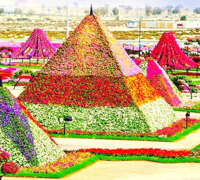 Biggest floral pyramid at Dubai Miracle Garden