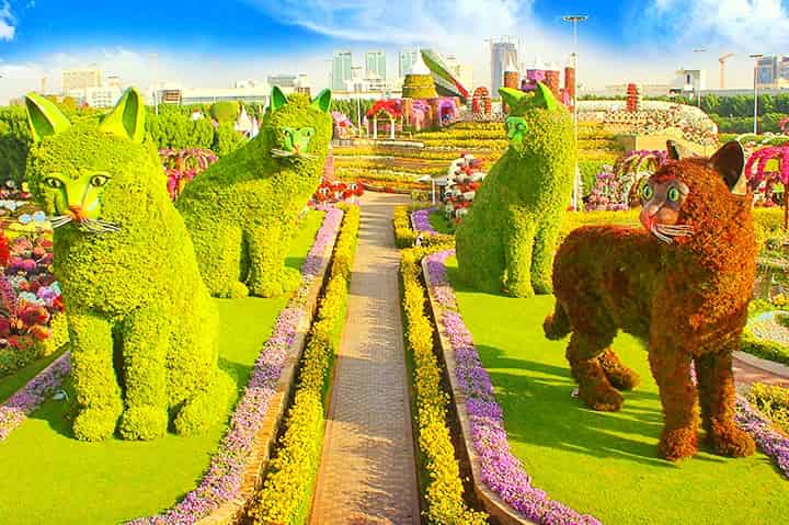 Biggest Topiary art for any mammal at Dubai Miracle Garden.