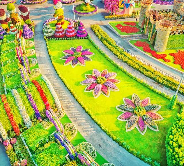 Dubai Miracle Garden grows millions of flowers through drip irrigation system.