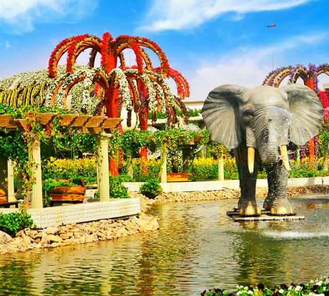 Dubai Miracle Garden is the most discussed Garden in the World