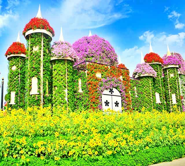 Dubai Miracle Garden is the Most Photographed Garden in the World