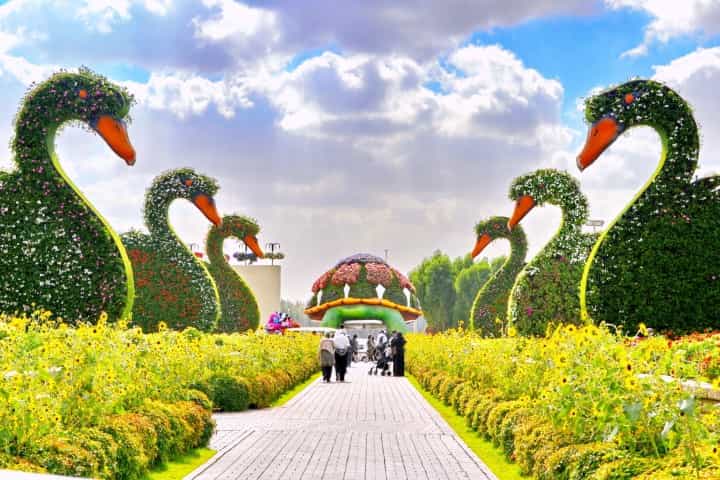 Dubai Miracle Garden has more than 1 dozen world records.