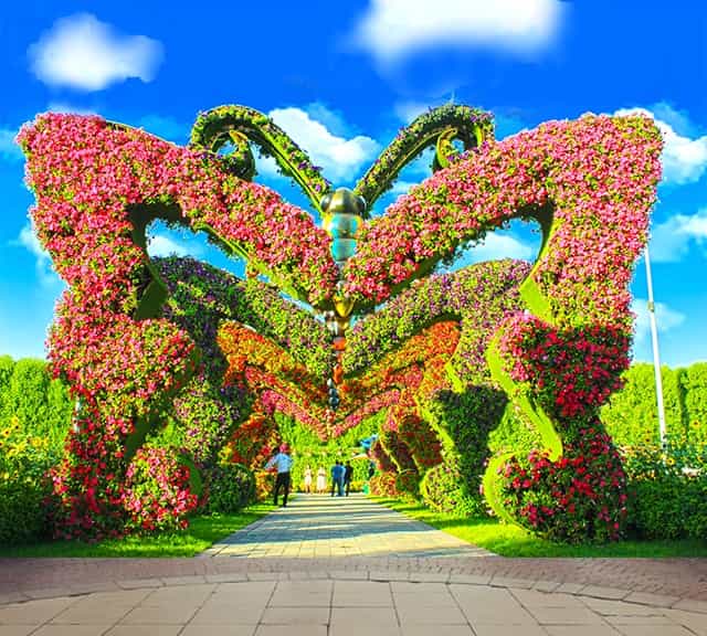 Butterfly Passage at Dubai Miracle Garden