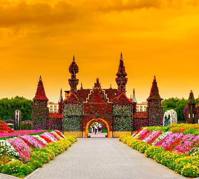 The presence of Dubai miracle Garden in desert is a miracle