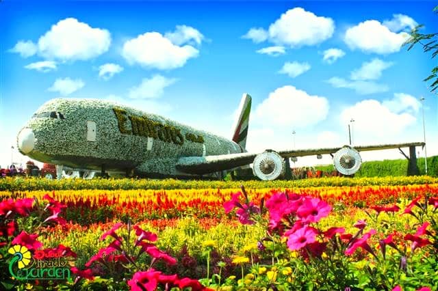 Emirates' A380 floral theme also made it to Guinness Book of World Record as the largest floral theme in the world.