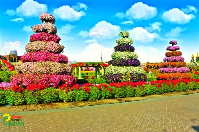 Dubai Miracle Garden shows maximum numbers of floral themes as well.