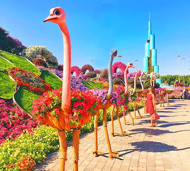 Dubai Miracle Garden flower sculptures