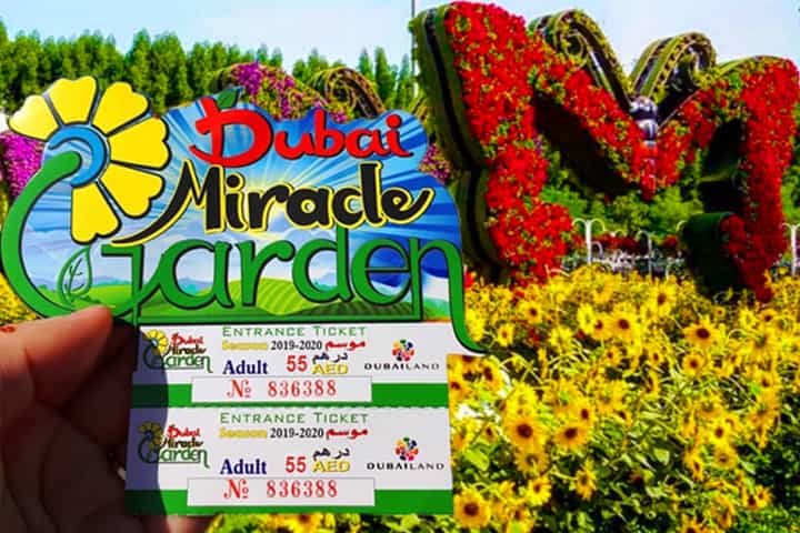 HD dubai miracle garden wallpapers | Peakpx